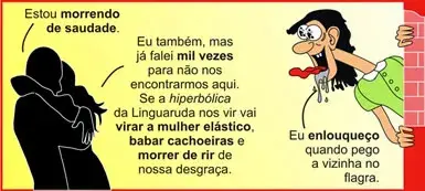 Na tirinha seguinte, a figura de linguagem utilizada – que faz uso de palavras e expressões de exagero - para reforçar a ‘conversa’ é:
