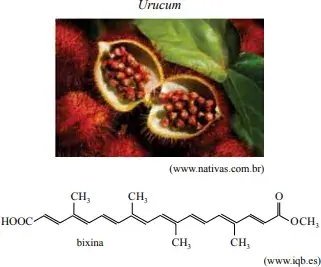 Questão refere-se à bixina, substância de cor vermelha presente no urucum Questão refere-se à bixina, substância de cor vermelha presente no urucum
